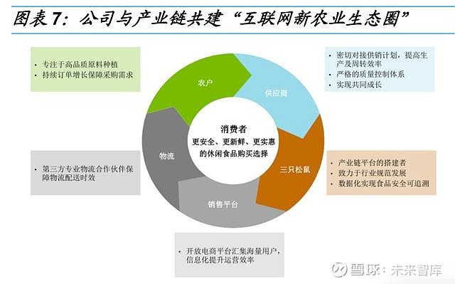 三只松鼠深度研究 进击的休闲食品领军企业——互联网销售与多品类双轮驱动成长路径